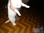 Фотография Летуновской Алёны