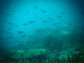 Евгений Мурышкин фотография #15 (источник - https://vk.com/id107583)