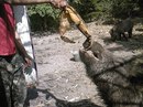 Ігор Кардаш фотография #20 (источник - https://vk.com/id145962458)