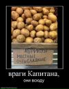 Роман Багрій фотография #46 (источник - https://vk.com/id116366204)