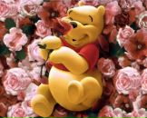 Яна Олійник фотография #42 (источник - https://vk.com/id154122797)