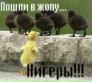 Вадім Яричевський фотография #9 (источник - https://vk.com/id135787455)