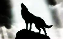 Фотография Моисеева Виктория