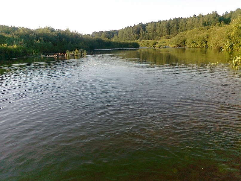 Андрей Пушкарев фотография #24