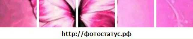 Віка Голомовза фотография #7 (источник - https://vk.com/id57714824)