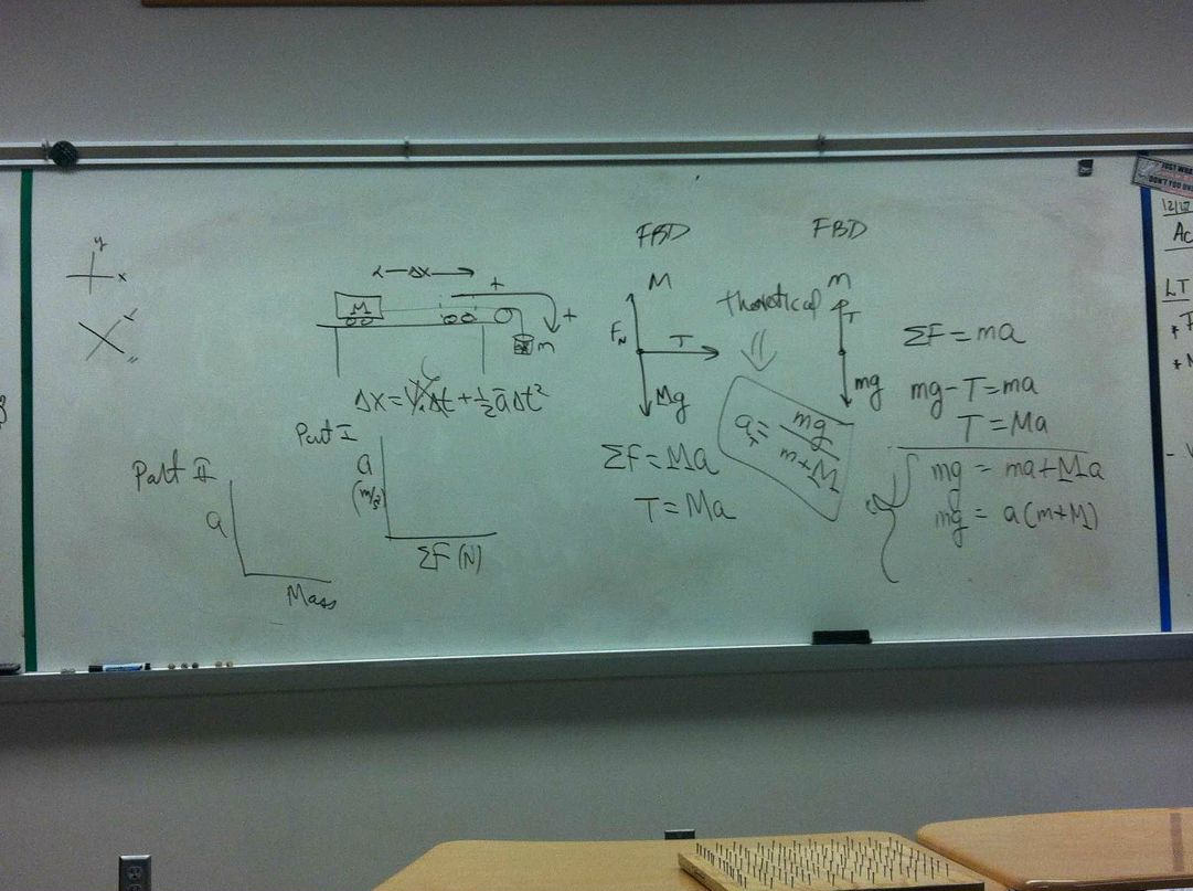 Tymur Newcomb фотография #34