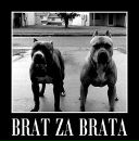 Талян Бадіца фотография #34 (источник - https://vk.com/id141712939)