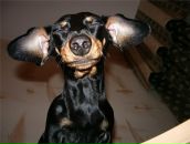 Фотография Невдахо Анастасии