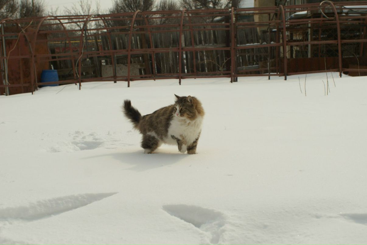 Anton Kasimov фотография #33