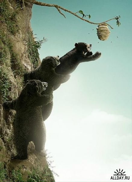 Эльдар Насыров фото №49