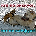 Інакентій Абдула фотография #5 (источник - https://vk.com/id137646697)