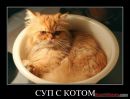 Ігорь Круподеря фотография #16 (источник - https://vk.com/id26804527)