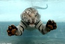 Іван Горняков фотография #19 (источник - https://vk.com/id152794618)