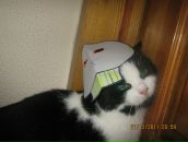 Міша Кординський фотография #14 (источник - https://vk.com/id138898293)