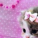 Іванка Зубенко фотография #45 (источник - https://vk.com/id100080283)