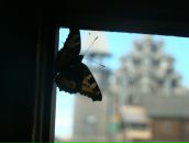 Фотография Закатова Андрея