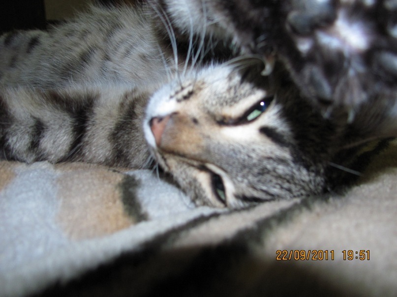 Ольга С фотография #22