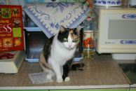 Фотография Исаковой Светланы