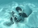 Фотография Алексей Иванов