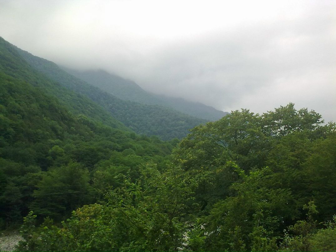 Igor Igor фотография #42