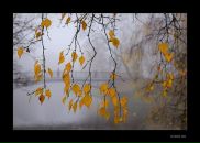 Фотография Сёмочкиной Анастасии