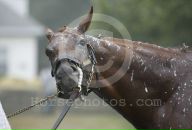 Drosselmeyer Favorite фотография #33 (источник - https://vk.com/id86315511)