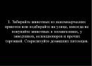 Владимир Амплеев фотография #16 (источник - https://vk.com/id10189808)