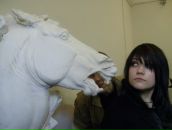 Фотография Дорианагреи Парадокс