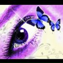 Фотография Житков Олег