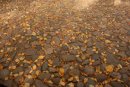 Фотография Парамонова Александра