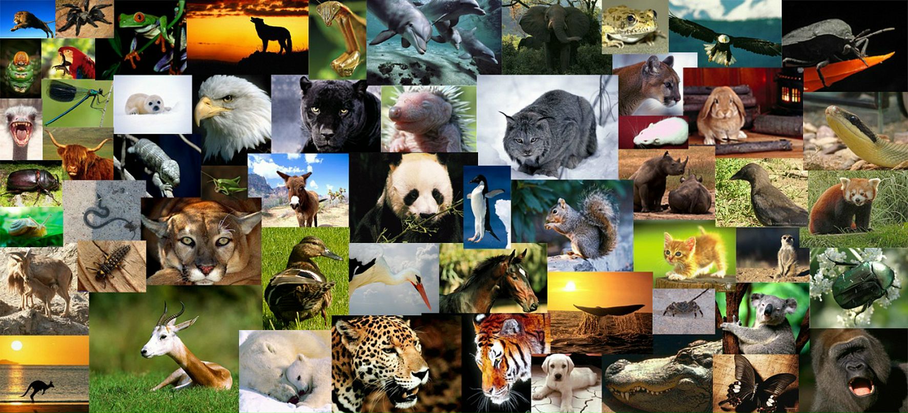 Руслан Флягин фотография #27