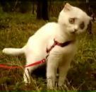 Фотография Валентиновича Валентина