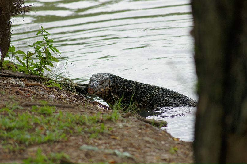 Иван Пешков фотография #31