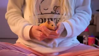 ♥ Как приручить хомяка ♥