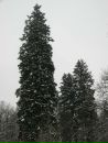 Софія Гапонюк фотография #9 (источник - https://vk.com/id28712059)
