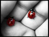 Фотография Сергеевны Марии