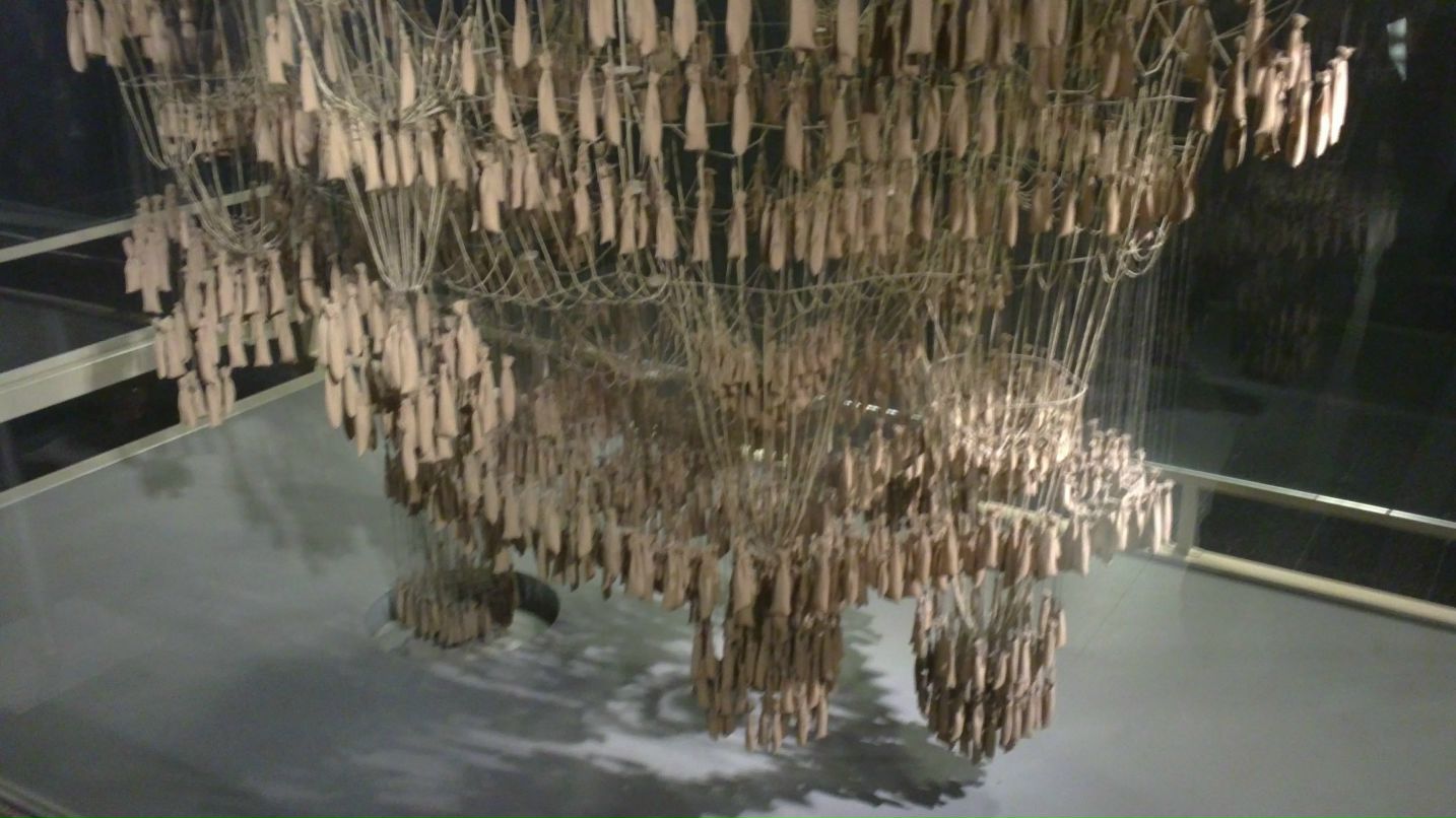 Александр П. фотография #37