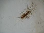 Александр Ширилов фотография #49 (источник - https://vk.com/id4350209)