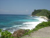 Фотография Севастьяновой Олеси