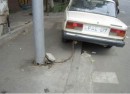 Сергій Гуржій фотография #41 (источник - https://vk.com/id48728005)