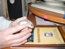 Юрій Мишкало фотография #32 (источник - https://vk.com/id41498105)
