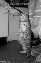 Стас Тимофеев фотография #42 (источник - https://vk.com/id3975274)