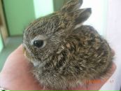 Фотография Хлыстова Андрея