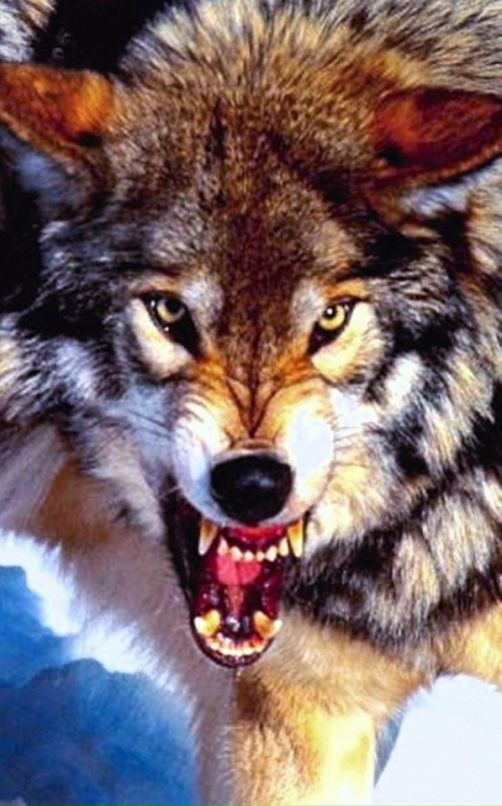 Игорь Игоревич фотография #32