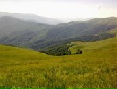 Олексій Цубера фотография #46 (источник - https://vk.com/id95950980)