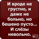 Дашуля:* Кисуля:** фотография #14 (источник - https://vk.com/id154203734)