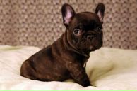 Фотография Михайлик Надежды