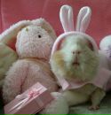 Коханий ♥♥♥♥♥ фотография #9 (источник - https://vk.com/id96742588)