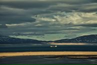 Олексій Гапонідзе фотография #30 (источник - https://vk.com/id20295178)