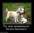 N[i]ki Baby фотография #21 (источник - https://vk.com/id66662499)